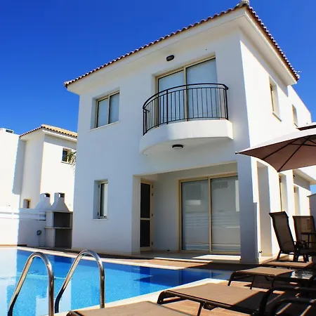 Palm Tree 普罗塔拉斯