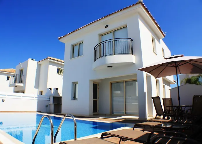 Palm Tree פרוטאראס