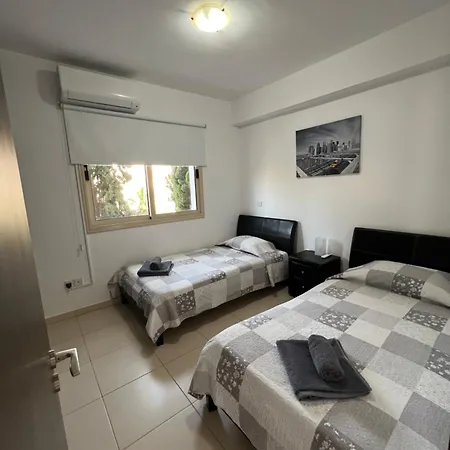 Palm Tree